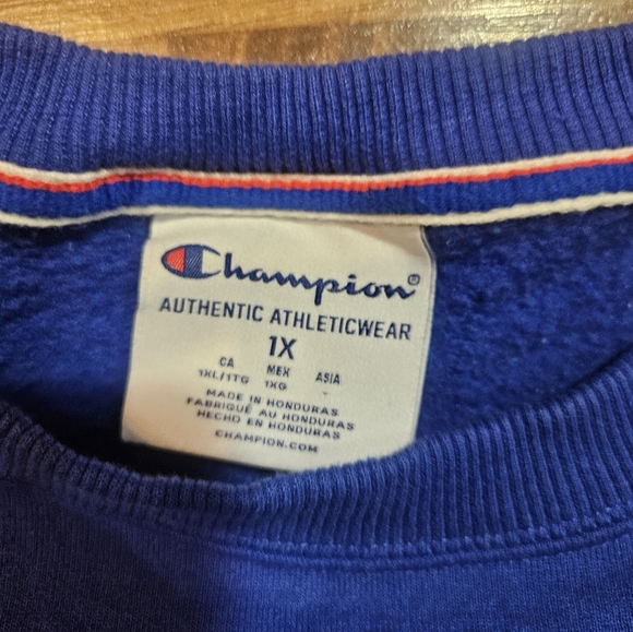 Vintage Champion Crewneck Sweatshirt size 1x. Used in good condition check pictu - Picture 4 of 9
